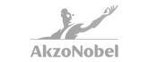 Akzonobel